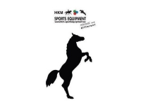 Car Sticker Dressage Rider 2