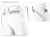 Tattini Ladies Betulla Breeches With Silicone Knee Patch